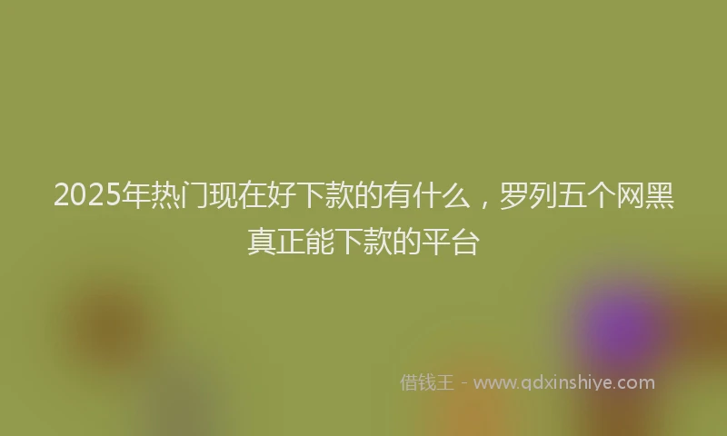 2025年热门现在好下款的有什么，罗列五个网黑真正能下款的平台