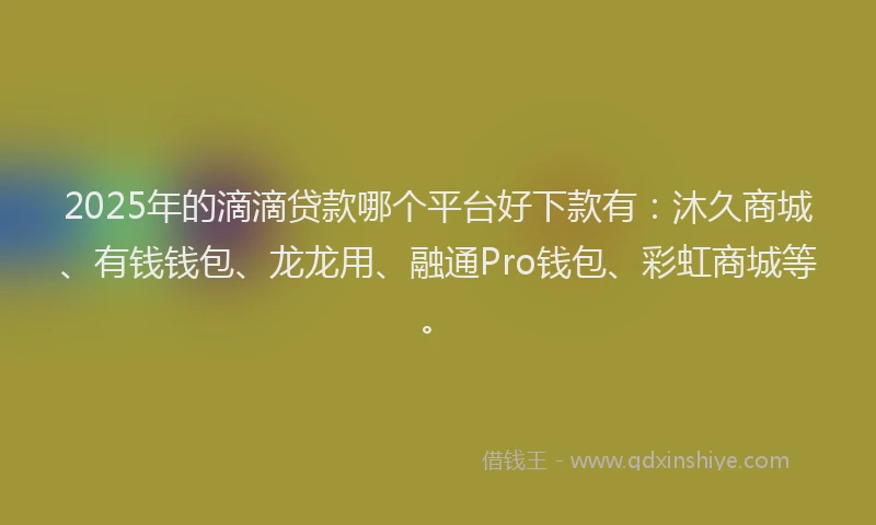 2025年的滴滴贷款哪个平台好下款有：沐久商城、有钱钱包、龙龙用、融通Pro钱包、彩虹商城等。