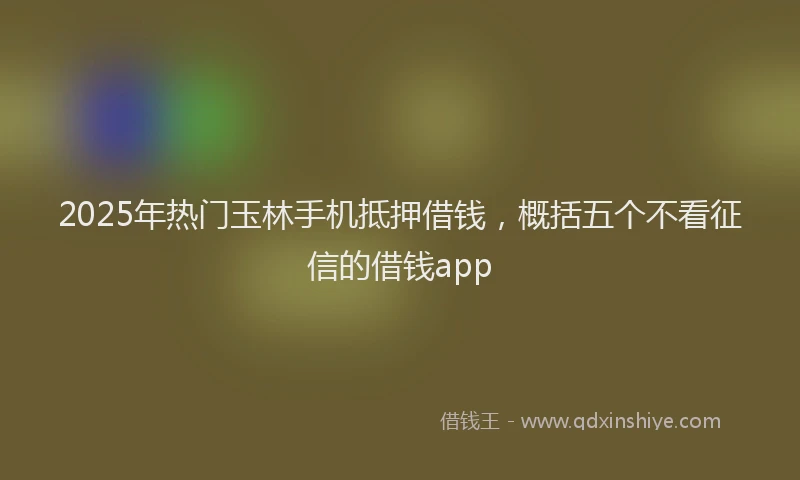 2025年热门玉林手机抵押借钱，概括五个不看征信的借钱app