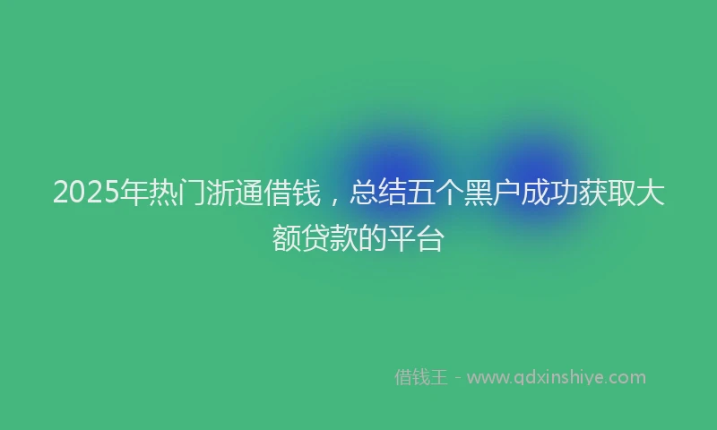2025年热门浙通借钱，总结五个黑户成功获取大额贷款的平台