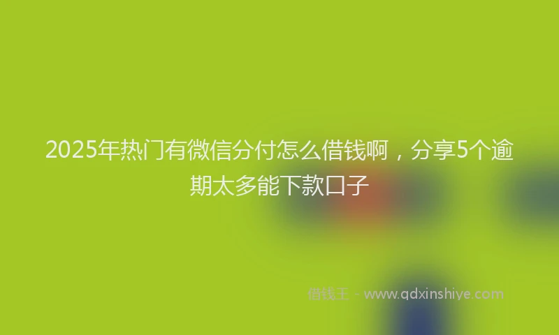 2025年热门有微信分付怎么借钱啊，分享5个逾期太多能下款口子