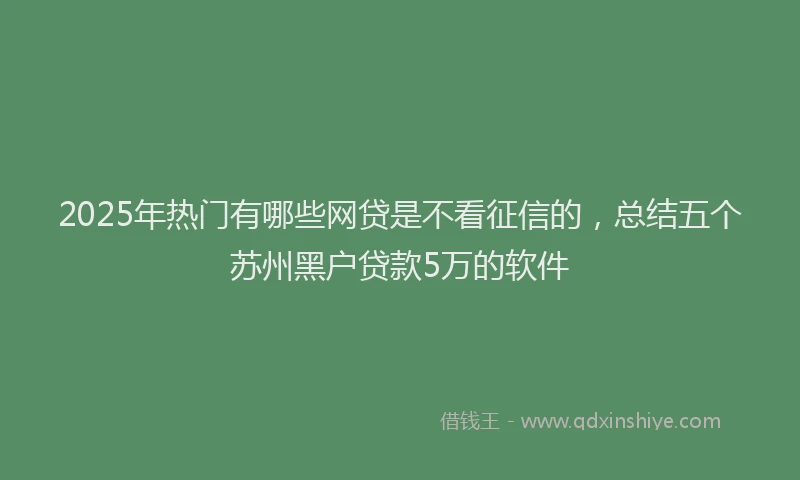 2025年热门有哪些网贷是不看征信的，总结五个苏州黑户贷款5万的软件
