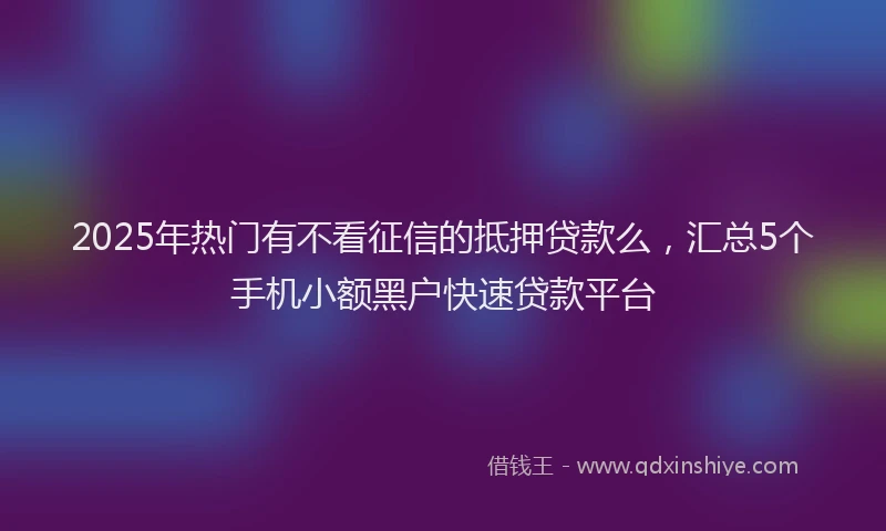 2025年热门有不看征信的抵押贷款么，汇总5个手机小额黑户快速贷款平台