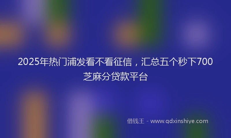 2025年热门浦发看不看征信，汇总五个秒下700芝麻分贷款平台