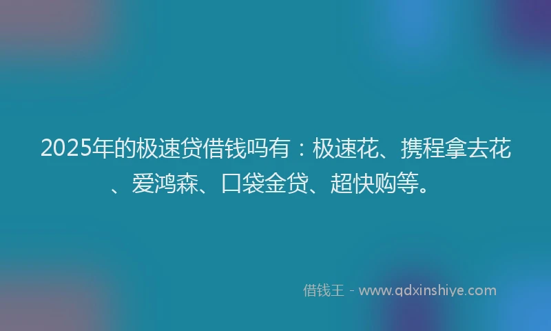 2025年的极速贷借钱吗有：极速花、携程拿去花、爱鸿森、口袋金贷、超快购等。