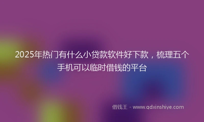2025年热门有什么小贷款软件好下款，梳理五个手机可以临时借钱的平台