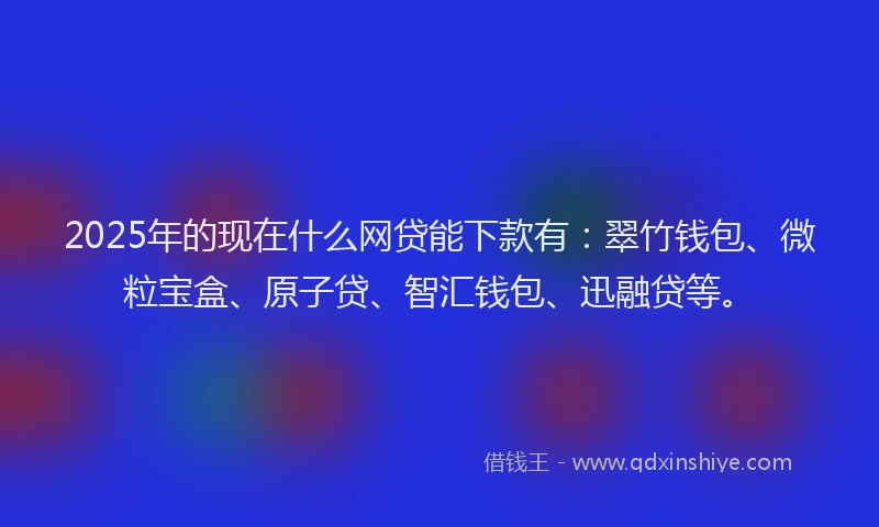 2025年的现在什么网贷能下款有：翠竹钱包、微粒宝盒、原子贷、智汇钱包、迅融贷等。