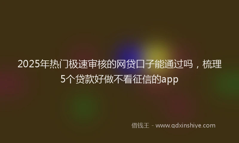 2025年热门极速审核的网贷口子能通过吗，梳理5个贷款好做不看征信的app