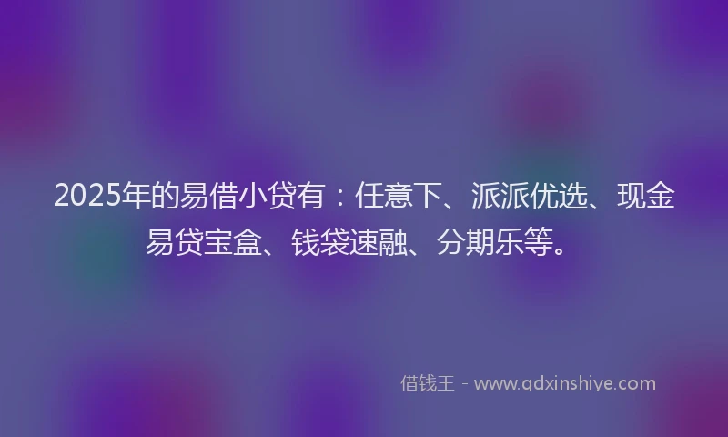 2025年的易借小贷有：任意下、派派优选、现金易贷宝盒、钱袋速融、分期乐等。