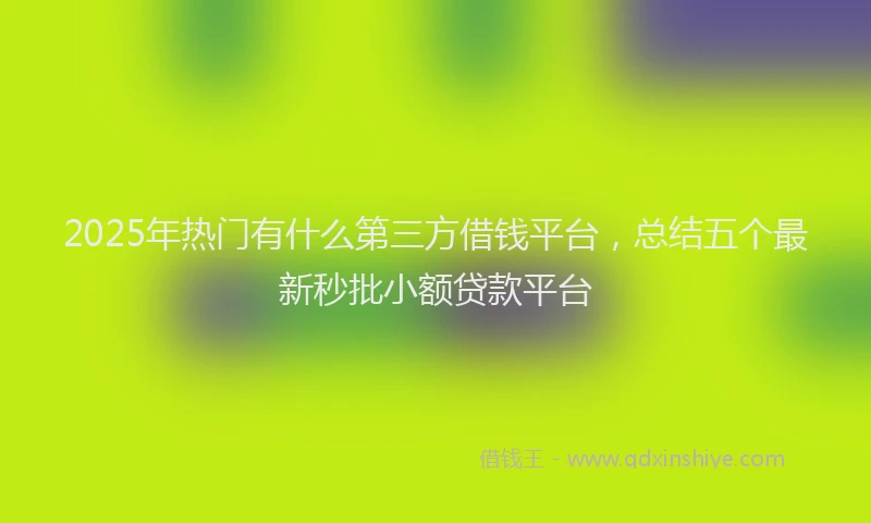 2025年热门有什么第三方借钱平台，总结五个最新秒批小额贷款平台