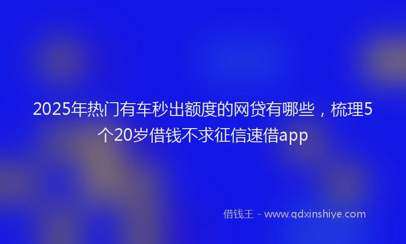 2025年热门有车秒出额度的网贷有哪些，梳理5个20岁借钱不求征信速借app