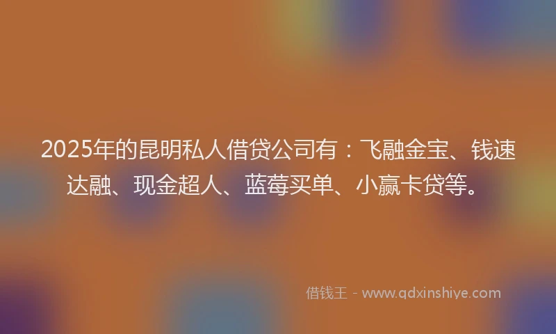 2025年的昆明私人借贷公司有：飞融金宝、钱速达融、现金超人、蓝莓买单、小赢卡贷等。