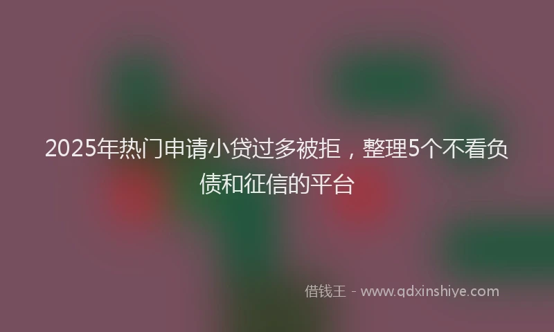 2025年热门申请小贷过多被拒，整理5个不看负债和征信的平台