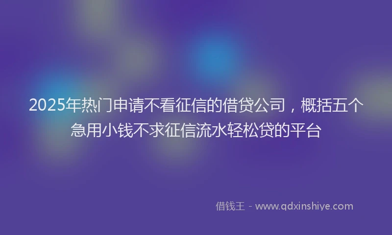 2025年热门申请不看征信的借贷公司，概括五个急用小钱不求征信流水轻松贷的平台