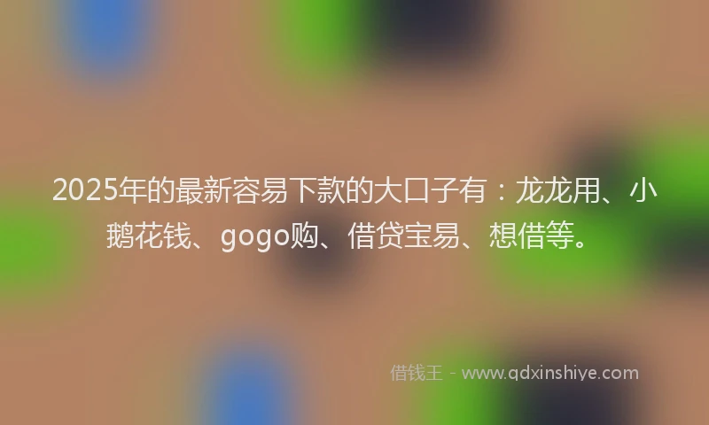 2025年的最新容易下款的大口子有：龙龙用、小鹅花钱、gogo购、借贷宝易、想借等。