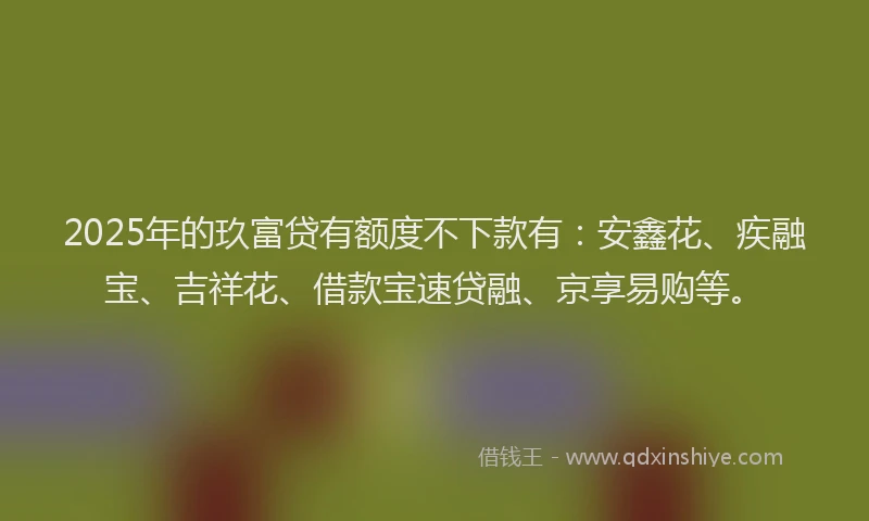 2025年的玖富贷有额度不下款有：安鑫花、疾融宝、吉祥花、借款宝速贷融、京享易购等。