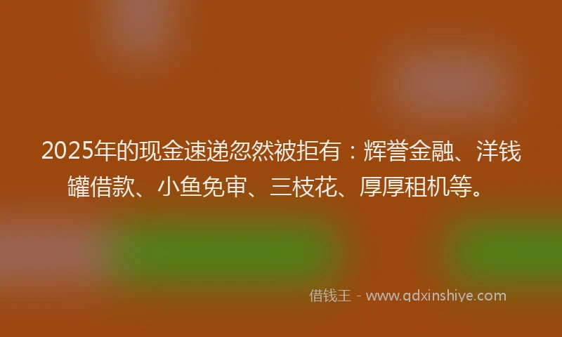 2025年的现金速递忽然被拒有：辉誉金融、洋钱罐借款、小鱼免审、三枝花、厚厚租机等。