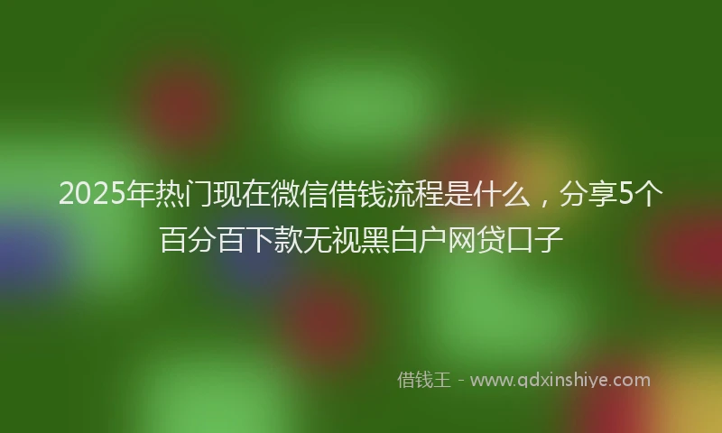 2025年热门现在微信借钱流程是什么，分享5个百分百下款无视黑白户网贷口子