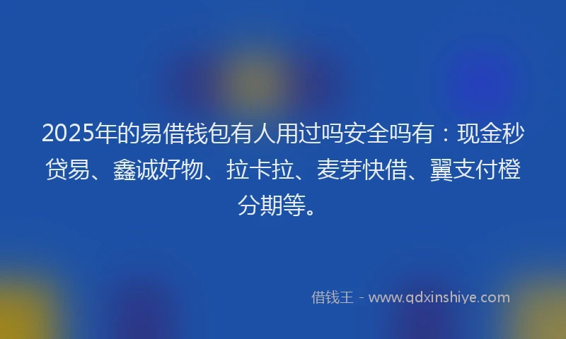 2025年的易借钱包有人用过吗安全吗有：现金秒贷易、鑫诚好物、拉卡拉、麦芽快借、翼支付橙分期等。