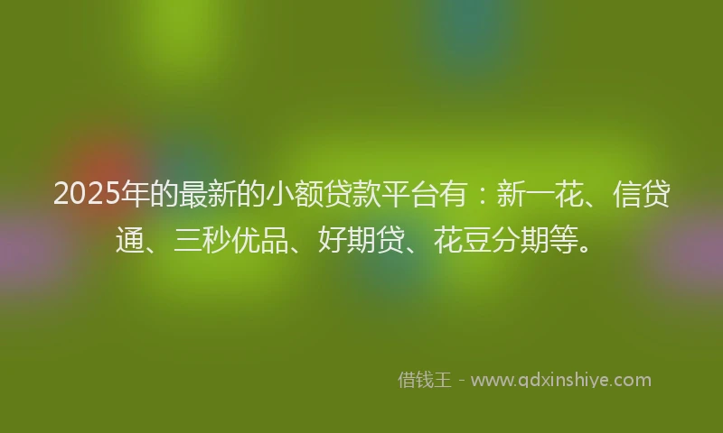 2025年的最新的小额贷款平台有：新一花、信贷通、三秒优品、好期贷、花豆分期等。