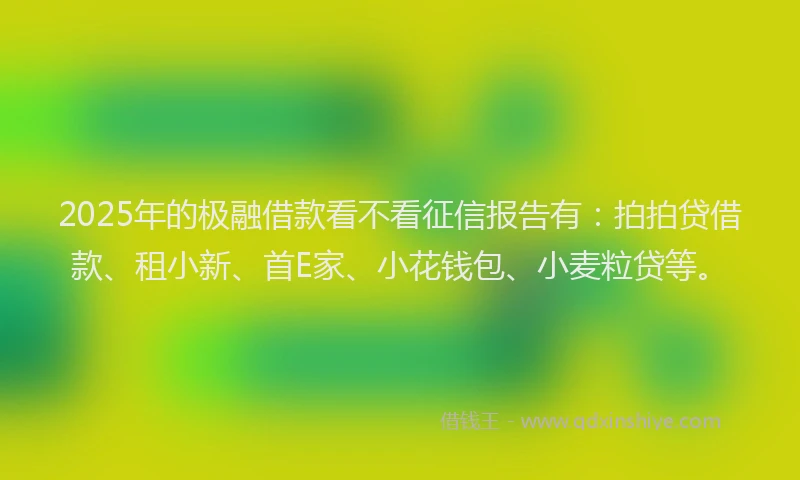 2025年的极融借款看不看征信报告有：拍拍贷借款、租小新、首E家、小花钱包、小麦粒贷等。