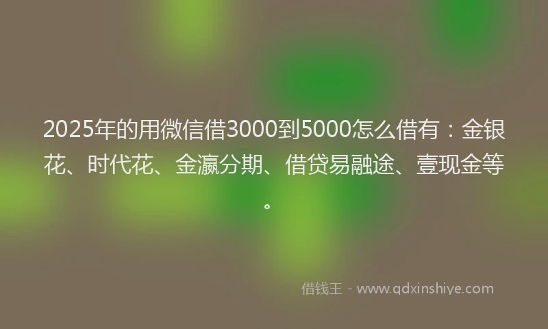 2025年的用微信借3000到5000怎么借有：金银花、时代花、金瀛分期、借贷易融途、壹现金等。