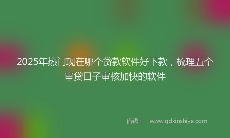 2025年热门现在哪个贷款软件好下款，梳理五个审贷口子审核加快的软件