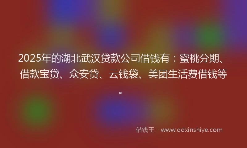 2025年的湖北武汉贷款公司借钱有：蜜桃分期、借款宝贷、众安贷、云钱袋、美团生活费借钱等。
