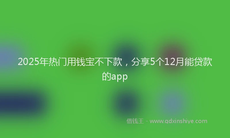 2025年热门用钱宝不下款，分享5个12月能贷款的app