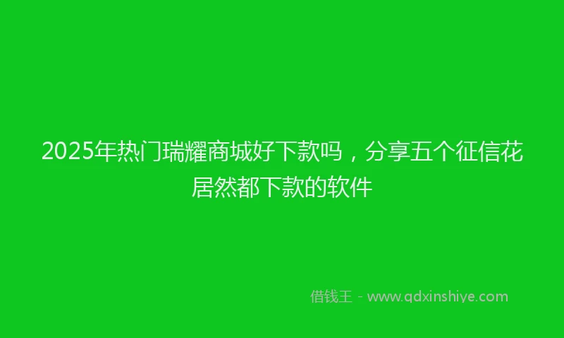 2025年热门瑞耀商城好下款吗，分享五个征信花居然都下款的软件