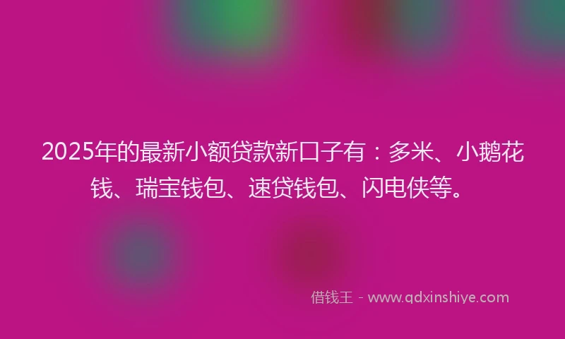2025年的最新小额贷款新口子有：多米、小鹅花钱、瑞宝钱包、速贷钱包、闪电侠等。