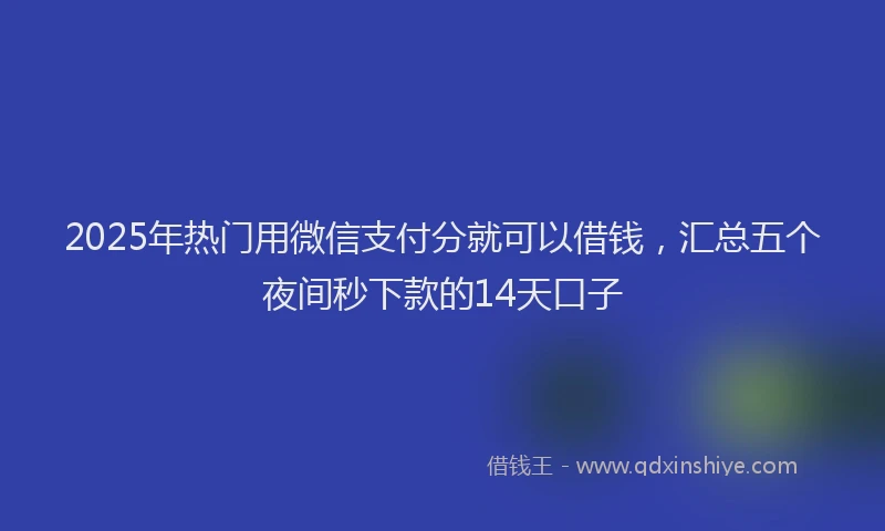 2025年热门用微信支付分就可以借钱，汇总五个夜间秒下款的14天口子