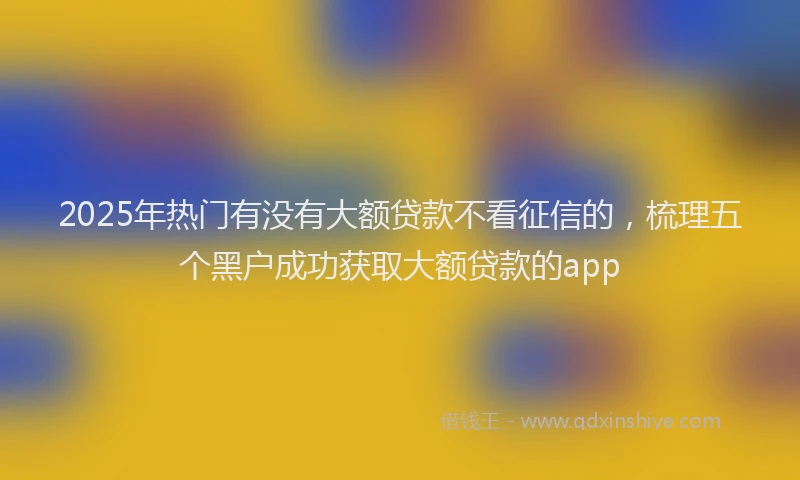 2025年热门有没有大额贷款不看征信的，梳理五个黑户成功获取大额贷款的app