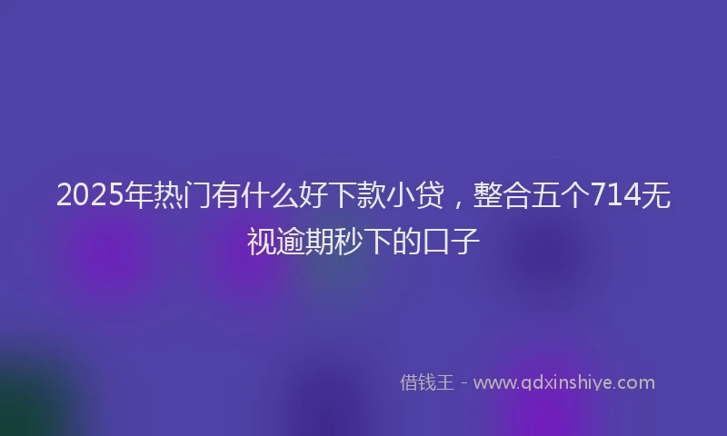 2025年热门有什么好下款小贷，整合五个714无视逾期秒下的口子