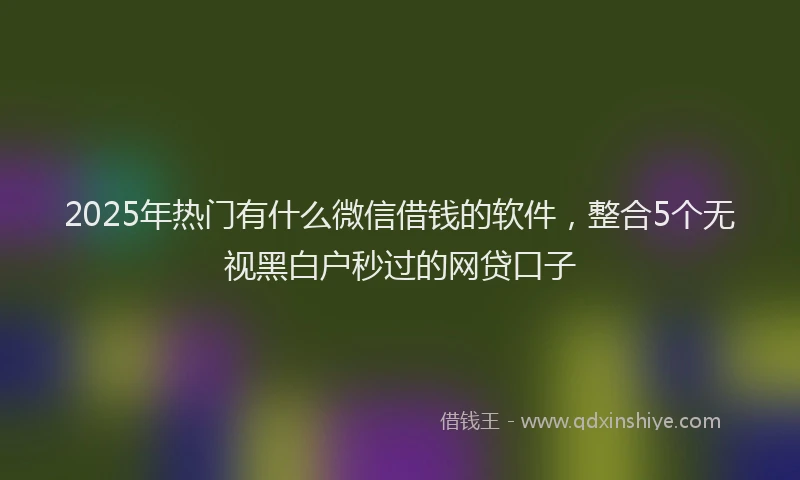 2025年热门有什么微信借钱的软件，整合5个无视黑白户秒过的网贷口子
