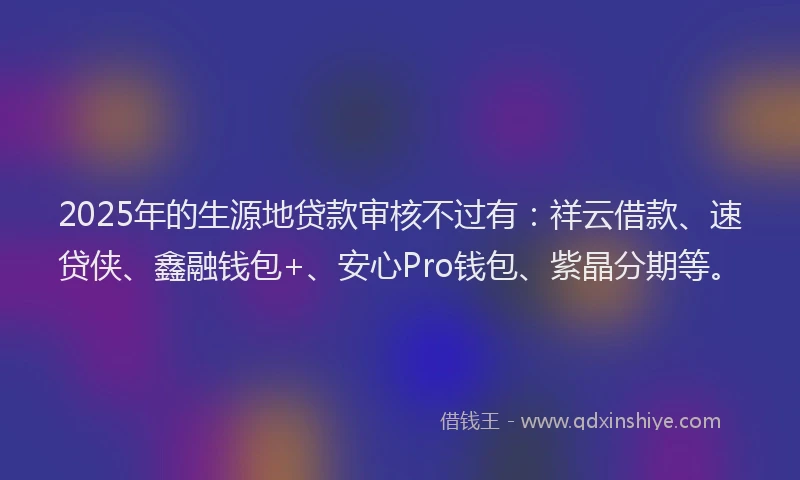 2025年的生源地贷款审核不过有：祥云借款、速贷侠、鑫融钱包+、安心Pro钱包、紫晶分期等。