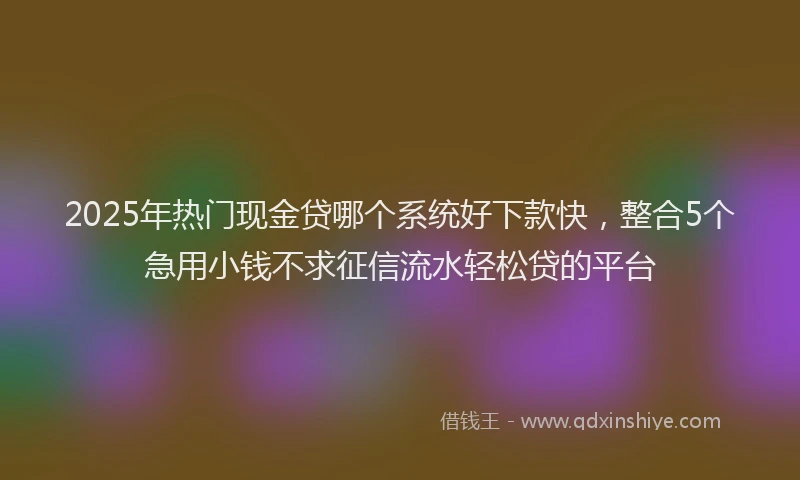 2025年热门现金贷哪个系统好下款快，整合5个急用小钱不求征信流水轻松贷的平台