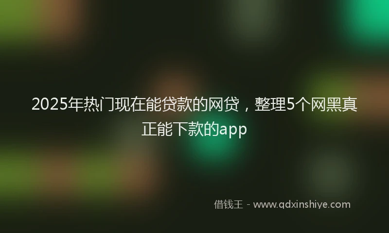 2025年热门现在能贷款的网贷，整理5个网黑真正能下款的app