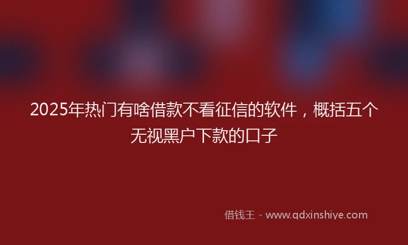 2025年热门有啥借款不看征信的软件，概括五个无视黑户下款的口子