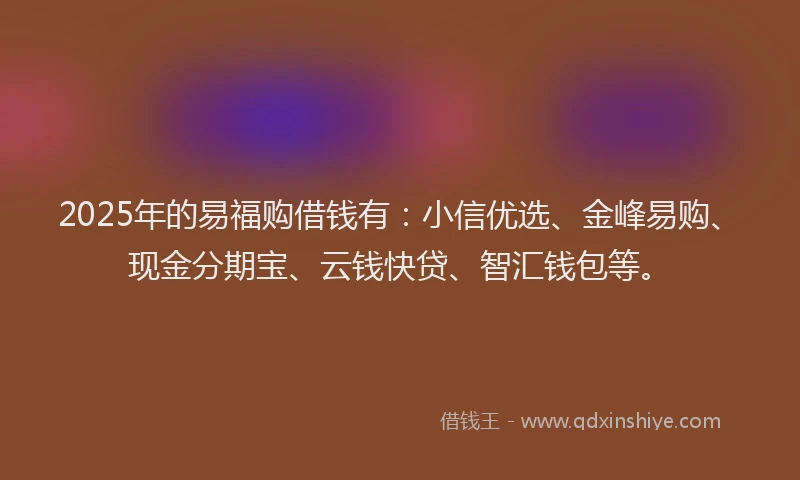 2025年的易福购借钱有：小信优选、金峰易购、现金分期宝、云钱快贷、智汇钱包等。