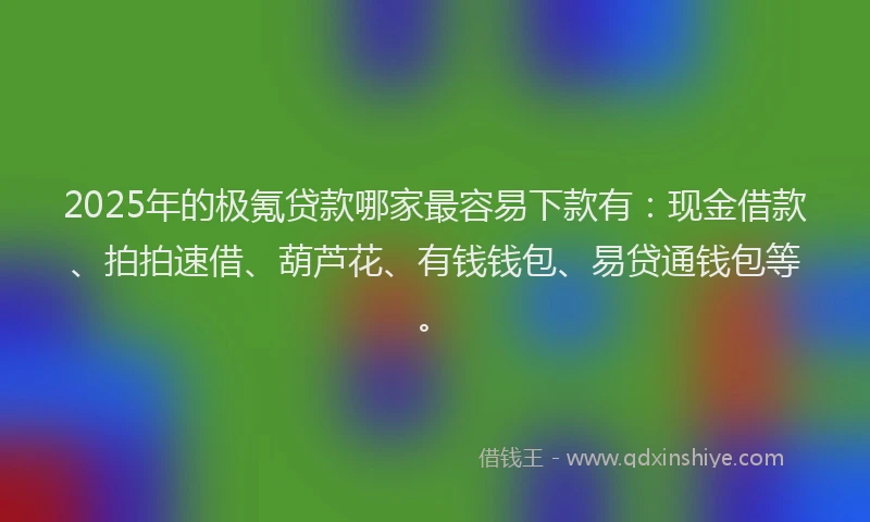 2025年的极氪贷款哪家最容易下款有：现金借款、拍拍速借、葫芦花、有钱钱包、易贷通钱包等。