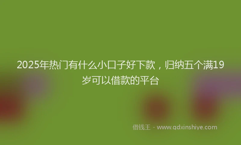 2025年热门有什么小口子好下款，归纳五个满19岁可以借款的平台