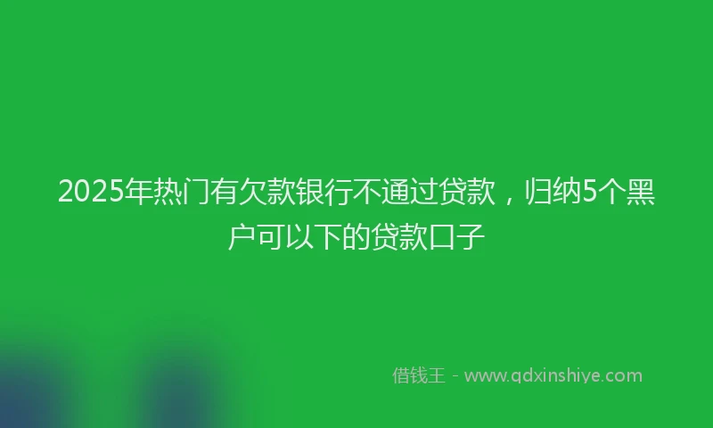 2025年热门有欠款银行不通过贷款，归纳5个黑户可以下的贷款口子