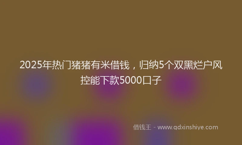 2025年热门猪猪有米借钱，归纳5个双黑烂户风控能下款5000口子