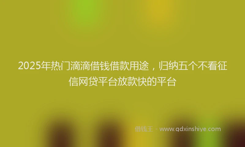 2025年热门滴滴借钱借款用途，归纳五个不看征信网贷平台放款快的平台