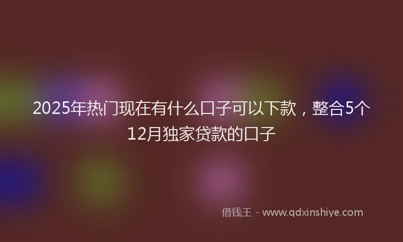 2025年热门现在有什么口子可以下款，整合5个12月独家贷款的口子