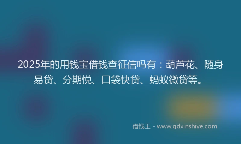 2025年的用钱宝借钱查征信吗有：葫芦花、随身易贷、分期悦、口袋快贷、蚂蚁微贷等。
