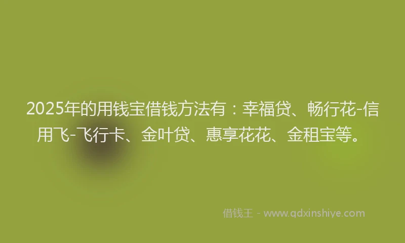 2025年的用钱宝借钱方法有：幸福贷、畅行花-信用飞-飞行卡、金叶贷、惠享花花、金租宝等。