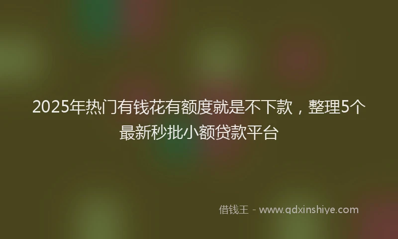 2025年热门有钱花有额度就是不下款，整理5个最新秒批小额贷款平台