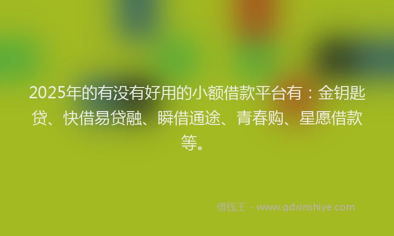 2025年的有没有好用的小额借款平台有：金钥匙贷、快借易贷融、瞬借通途、青春购、星愿借款等。